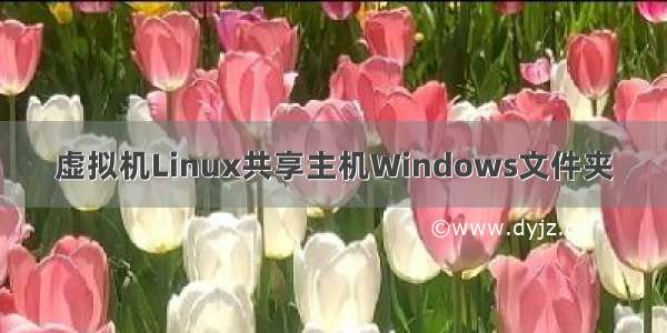 虚拟机Linux共享主机Windows文件夹