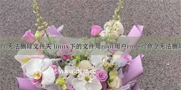 linux rm rf 无法删除文件夹 linux下的文件用root用户rm -rf命令无法删除解决方案