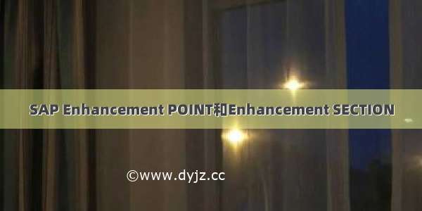 SAP Enhancement POINT和Enhancement SECTION