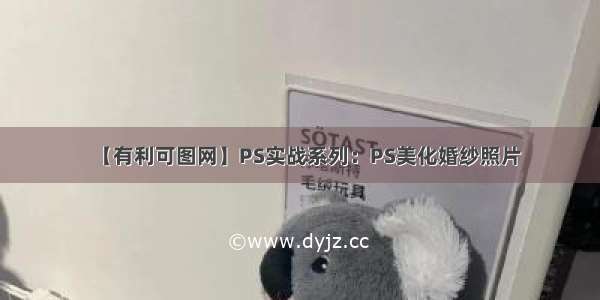 【有利可图网】PS实战系列：PS美化婚纱照片