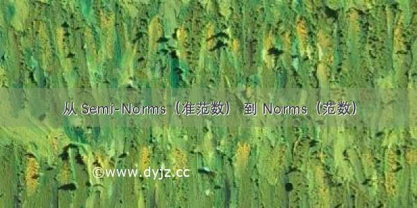 从 Semi-Norms（准范数） 到 Norms（范数）