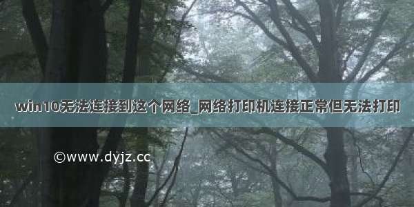 win10无法连接到这个网络_网络打印机连接正常但无法打印