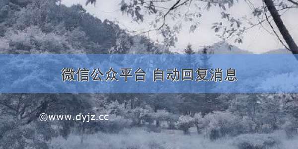 微信公众平台 自动回复消息