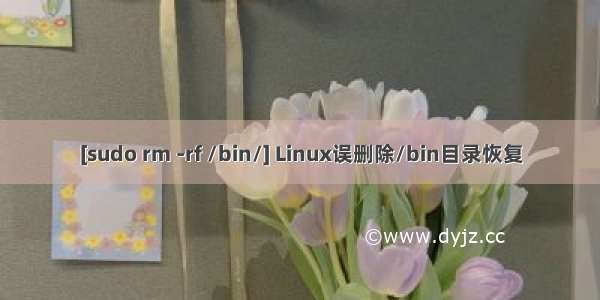 [sudo rm -rf /bin/] Linux误删除/bin目录恢复