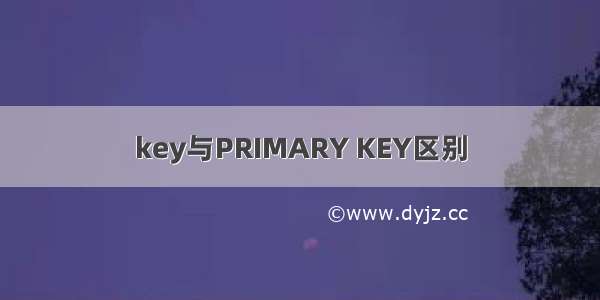 key与PRIMARY KEY区别