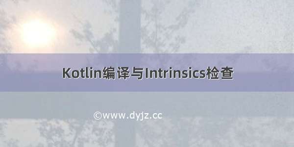 Kotlin编译与Intrinsics检查
