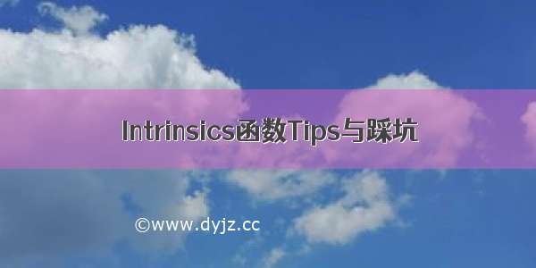 Intrinsics函数Tips与踩坑