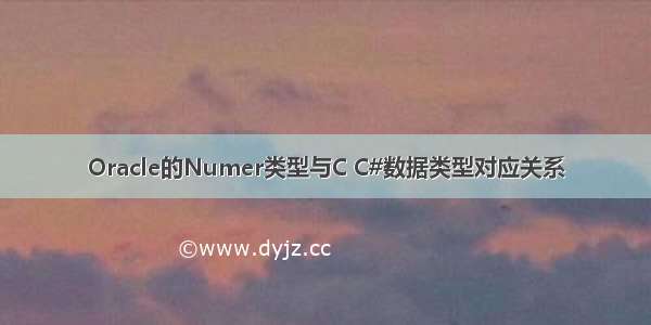 Oracle的Numer类型与C C#数据类型对应关系