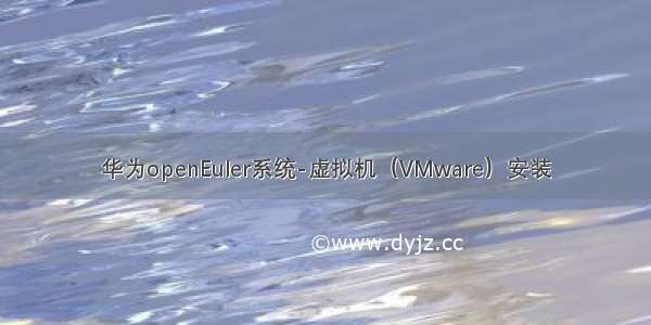 华为openEuler系统-虚拟机（VMware）安装