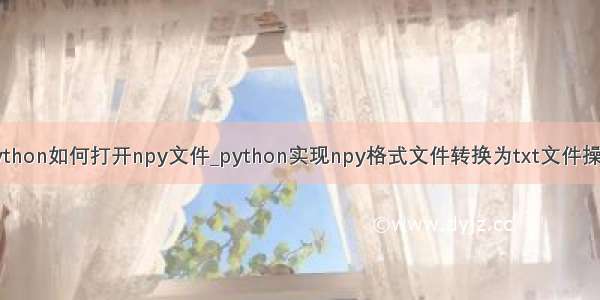 python如何打开npy文件_python实现npy格式文件转换为txt文件操作