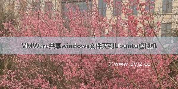 VMWare共享windows文件夹到Ubuntu虚拟机