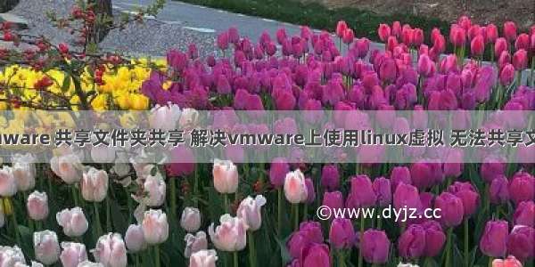 linux vmware 共享文件夹共享 解决vmware上使用linux虚拟 无法共享文件的问题