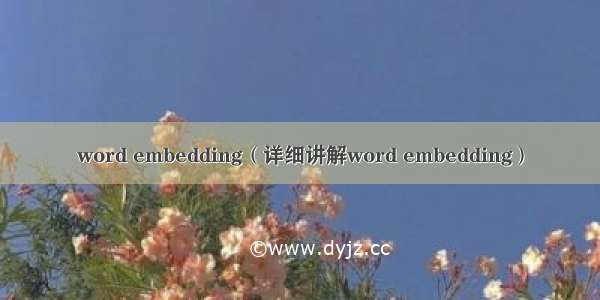 word embedding（详细讲解word embedding）