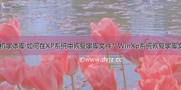 怎么还原计算机字体库 如何在XP系统中恢复字库文件？WinXp系统恢复字库文件图文教程...