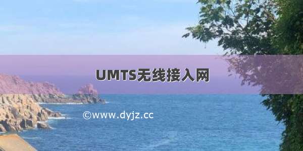 UMTS无线接入网