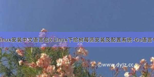 树莓派 linux安装中文语言包6 Linux下给树莓派安装及配置系统-Go语言中文社区