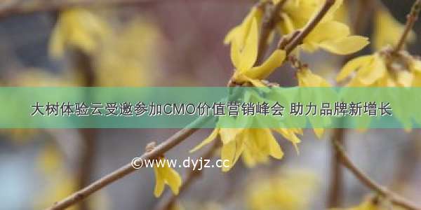 大树体验云受邀参加CMO价值营销峰会 助力品牌新增长