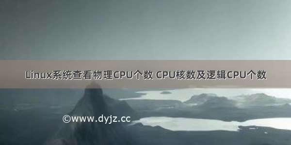 Linux系统查看物理CPU个数 CPU核数及逻辑CPU个数