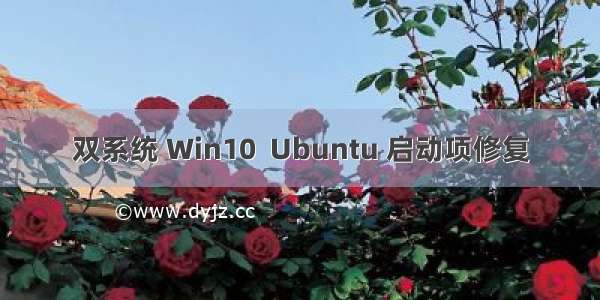 双系统 Win10  Ubuntu 启动项修复