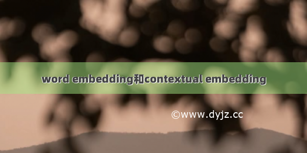 word embedding和contextual embedding