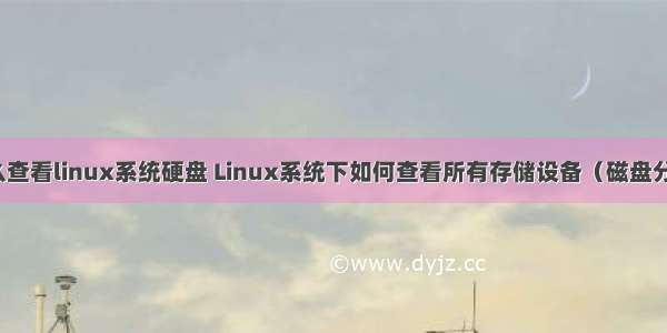 怎么查看linux系统硬盘 Linux系统下如何查看所有存储设备（磁盘分区）