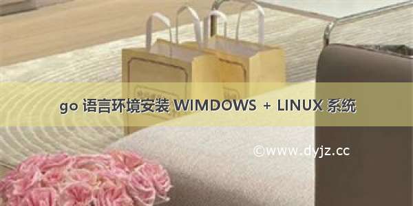 go 语言环境安装 WIMDOWS + LINUX 系统