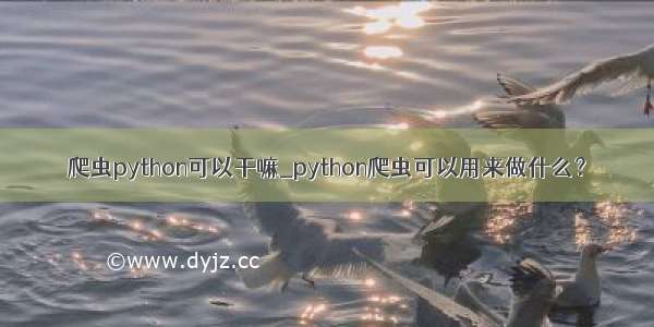 爬虫python可以干嘛_python爬虫可以用来做什么？