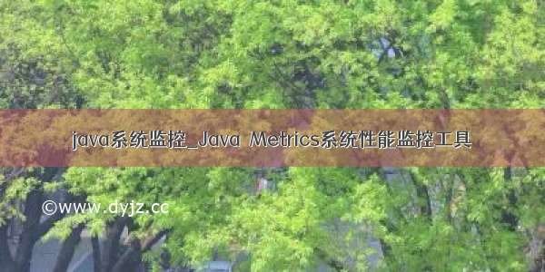 java系统监控_Java  Metrics系统性能监控工具