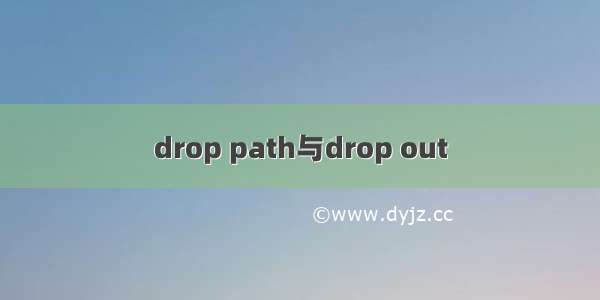 drop path与drop out