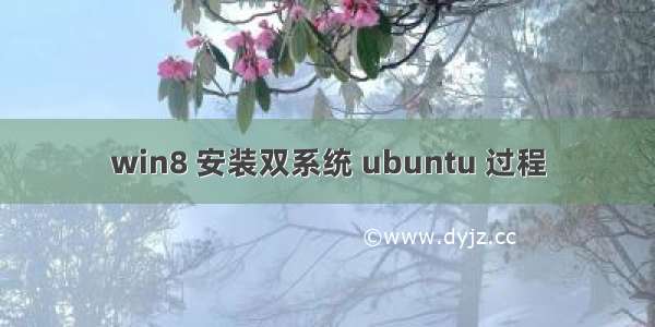 win8 安装双系统 ubuntu 过程