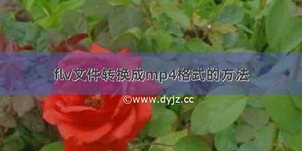 flv文件转换成mp4格式的方法