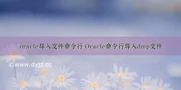 oracle导入文件命令行 Oracle命令行导入dmp文件