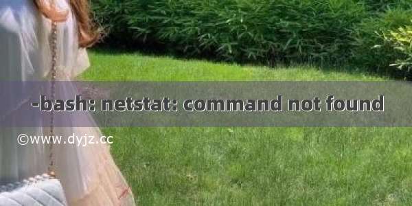 -bash: netstat: command not found