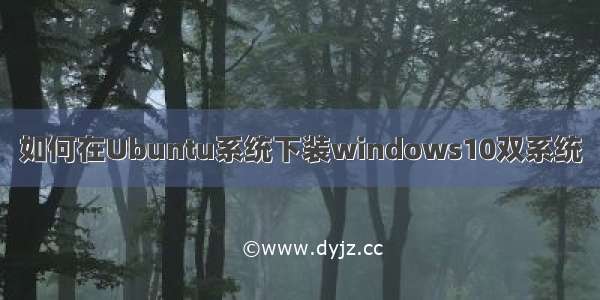 如何在Ubuntu系统下装windows10双系统