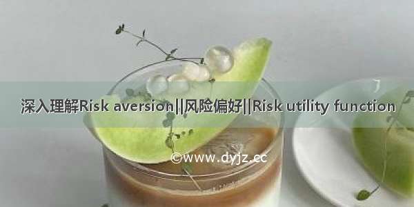 深入理解Risk aversion||风险偏好||Risk utility function