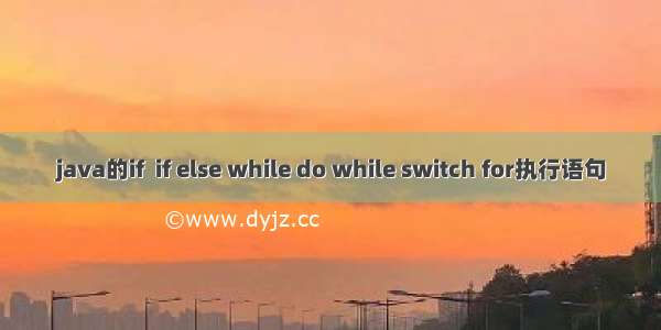 java的if  if else while do while switch for执行语句