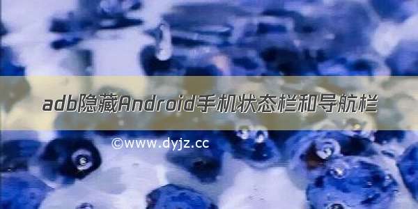 adb隐藏Android手机状态栏和导航栏