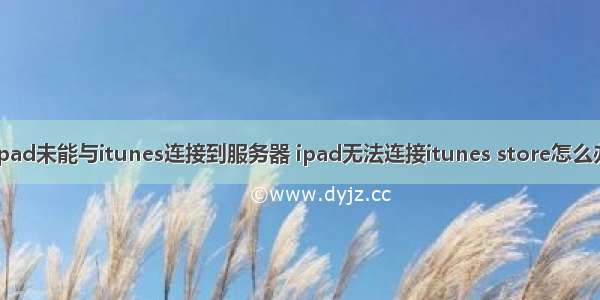 ipad未能与itunes连接到服务器 ipad无法连接itunes store怎么办