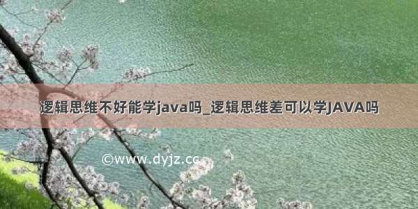 逻辑思维不好能学java吗_逻辑思维差可以学JAVA吗