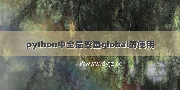 python中全局变量global的使用