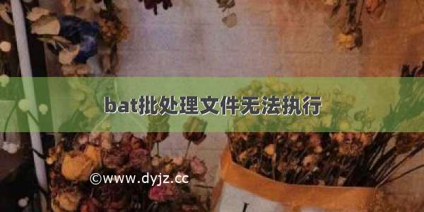 bat批处理文件无法执行