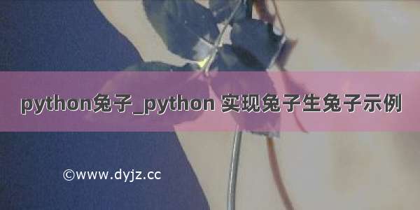 python兔子_python 实现兔子生兔子示例