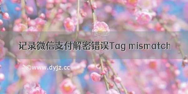 记录微信支付解密错误Tag mismatch