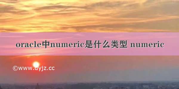 oracle中numeric是什么类型 numeric