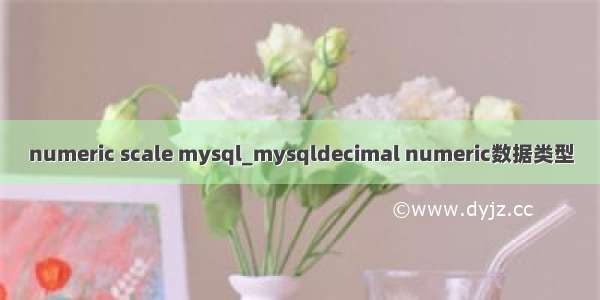 numeric scale mysql_mysqldecimal numeric数据类型