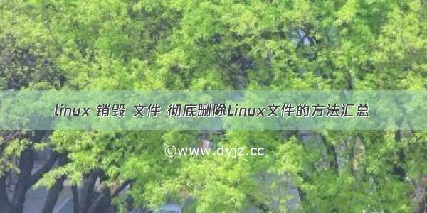 linux 销毁 文件 彻底删除Linux文件的方法汇总