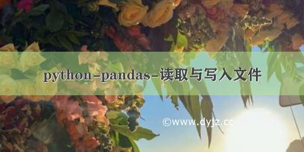 python-pandas-读取与写入文件