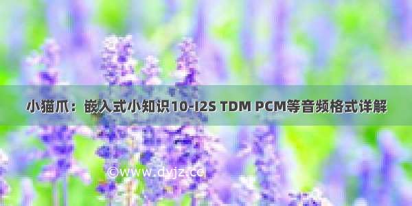 小猫爪：嵌入式小知识10-I2S TDM PCM等音频格式详解