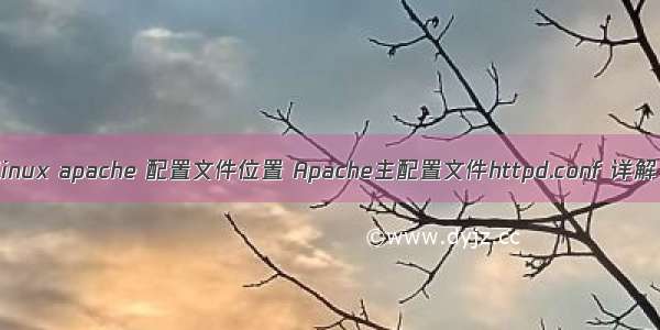 linux apache 配置文件位置 Apache主配置文件httpd.conf 详解