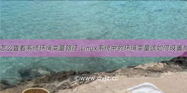 linux怎么查看系统环境变量路径 Linux系统中的环境变量该如何设置与查看